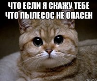 что если я скажу тебе что пылесос не опасен 