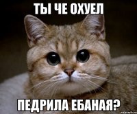 ты че охуел педрила ебаная?