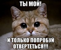 ты мой! и только попробуй отвертеться!!!