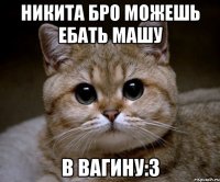 никита бро можешь ебать машу в вагину:3