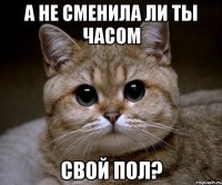 а не сменила ли ты часом свой пол?