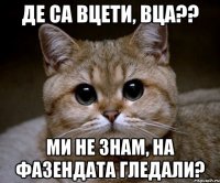 де са вцети, вца?? ми не знам, на фазендата гледали?