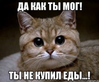 да как ты мог! ты не купил еды...!