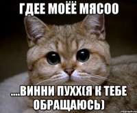 гдее моёё мясоо ....винни пухх(я к тебе обращаюсь)