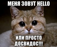 меня зовут hello или просто досвидос!!!