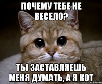 почему тебе не весело? ты заставляешь меня думать, а я кот