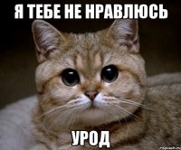 я тебе не нравлюсь урод