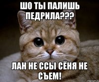 шо ты палишь педрила??? лан не ссы сёня не съем!