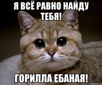 я всё равно найду тебя! горилла ебаная!