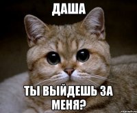 даша ты выйдешь за меня?