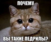 почему вы такие педрилы?