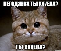 негодяева ты ахуела? ты ахуела?