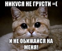 никуся не грусти =( и не обижайся на меня!