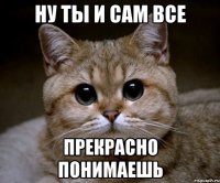 ну ты и сам все прекрасно понимаешь