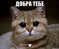 добра тебе ♥