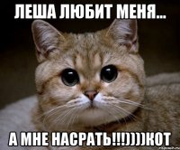 леша любит меня... а мне насрать!!!))))кот