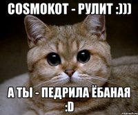 cosmokot - рулит :))) а ты - педрила ёбаная :d
