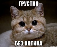 грустно без котика