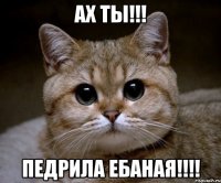 ах ты!!! педрила ебаная!!!