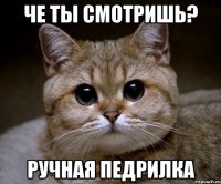 че ты смотришь? ручная педрилка