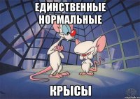 единственные нормальные крысы