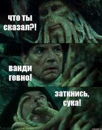 что ты сказал?! ванди говно! заткнись, сука!