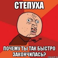 степуха почему ты так быстро закончилась?