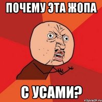 почему эта жопа с усами?