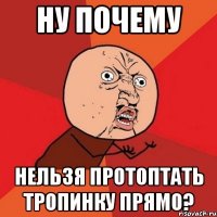 ну почему нельзя протоптать тропинку прямо?