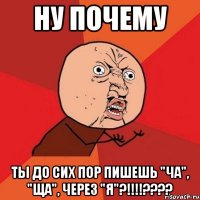 ну почему ты до сих пор пишешь "ча", "ща", через "я"?!!!???