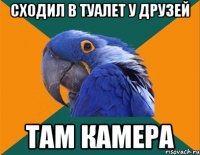 сходил в туалет у друзей там камера