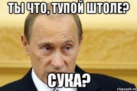 ты что, тупой штоле? сука?