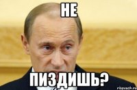 не пиздишь?