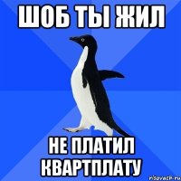 шоб ты жил не платил квартплату