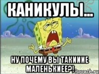 каникулы... ну почему вы такииие маленькиее?!