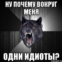 ну почему вокруг меня одни идиоты?