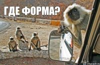 ГДЕ ФОРМА?