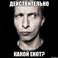 действительно какой енот?