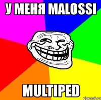 у меня malossi multiped