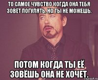 то самое чувство когда она тебя зовёт погулять, но ты не можешь. потом когда ты её зовёшь она не хочет.