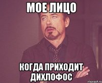 мое лицо когда приходит дихлофос