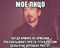 моё лицо когда армяне из армении рассказывают про то, что в россии деньги на деревьях растут