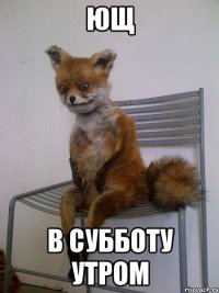 ющ в субботу утром