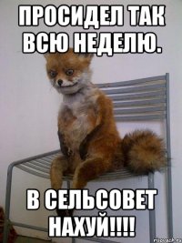 просидел так всю неделю. в сельсовет нахуй!!!