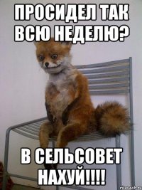 просидел так всю неделю? в сельсовет нахуй!!!