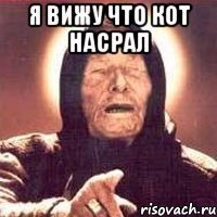 я вижу что кот насрал 