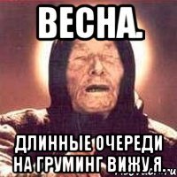 весна. длинные очереди на груминг вижу я.