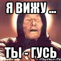 я вижу ... ты - гусь