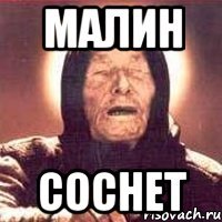 малин соснет