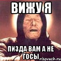 вижу я пизда вам а не госы